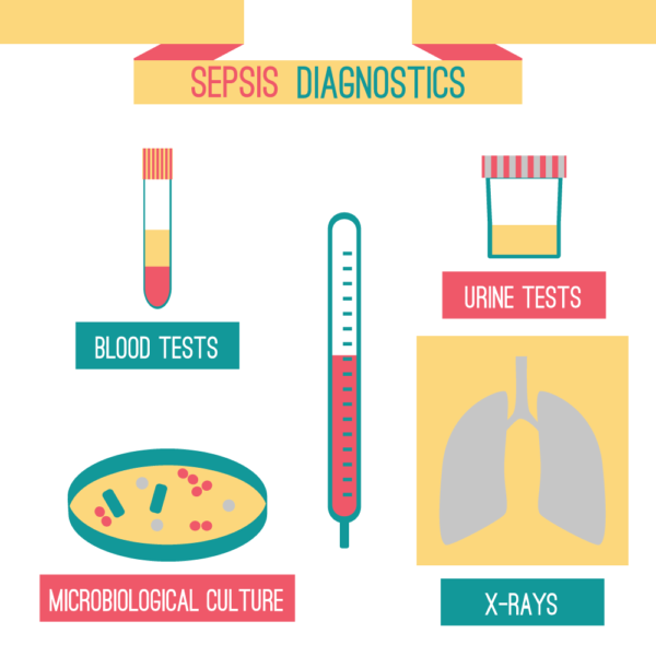 6 HR Sepsis Bundle